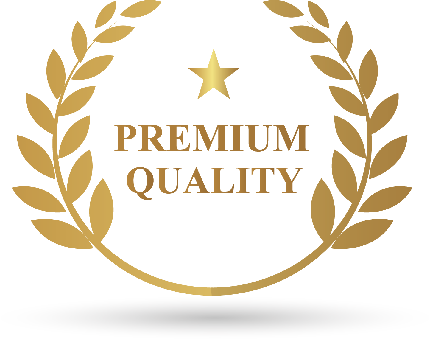 Премиум качество. Значок премиум качество. Логотип премиальное качество. Premium качество логотип. Premium icons